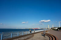 袖ヶ浦海浜公園 1