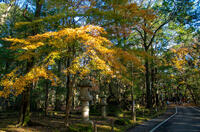 成田山公園 1