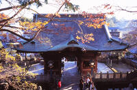 成田山新勝寺 2