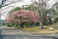 青葉の森公園 4