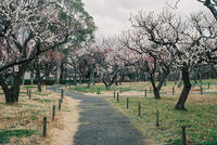 青葉の森公園 6