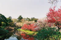 清水公園 1