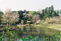 清水公園 2