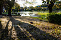 ユーカリが丘南公園 3