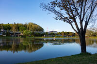 ユーカリが丘南公園 1