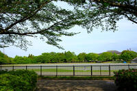 四街道総合公園 2