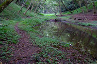 佐倉西部自然公園 4