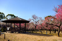 青葉の森公園 1