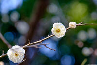 青葉の森公園 5