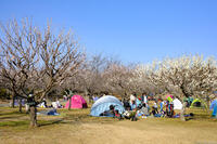 北総花の丘公園 2