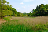 酒々井総合公園 2