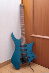 .strandberg*  Boden Standard 6 Tremolo