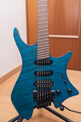 .strandberg* Boden Standard 6 Tremolo