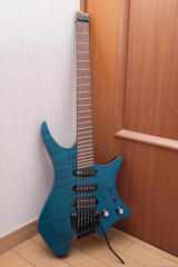 .strandberg* Boden Standard 6 Tremolo