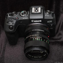 Canon EOS RP & New FD 50mm F1.4