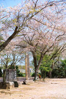 香取神社 2