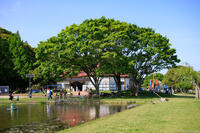 霞ヶ浦 歩崎公園 2